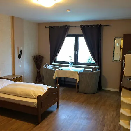 Hotel Zum Schnackel In Mainz 3*