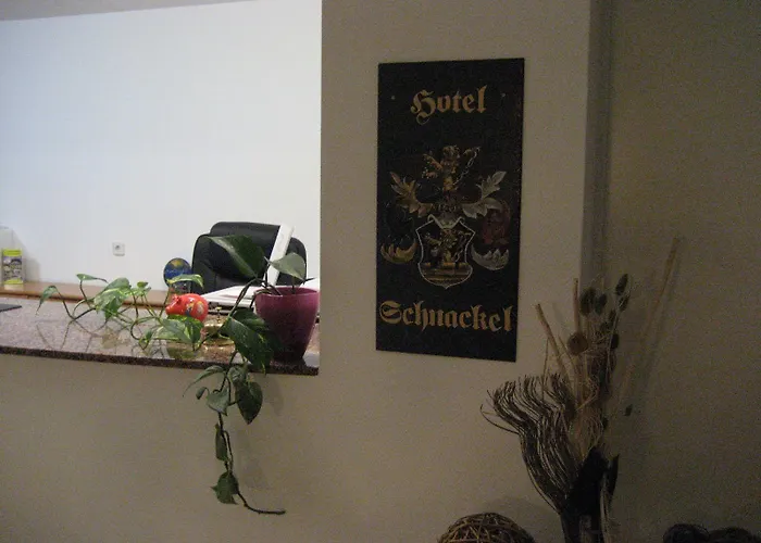 ホテル Zum Schnackel In マインツ